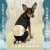 日本屈指の湯治場・玉川温泉で育まれてきた湯治文化を愛犬・愛猫にも。