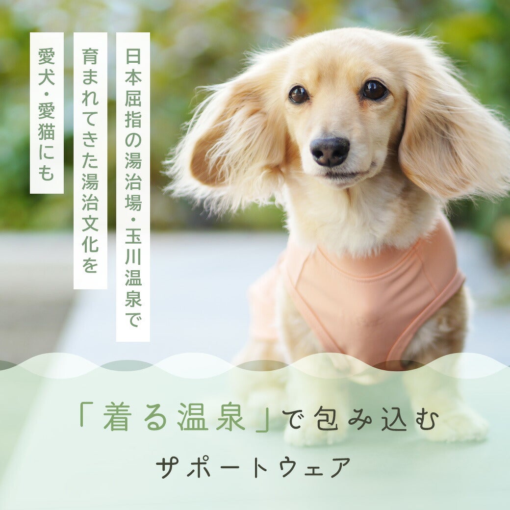 「着る温泉」で包み込むサポートウェア
