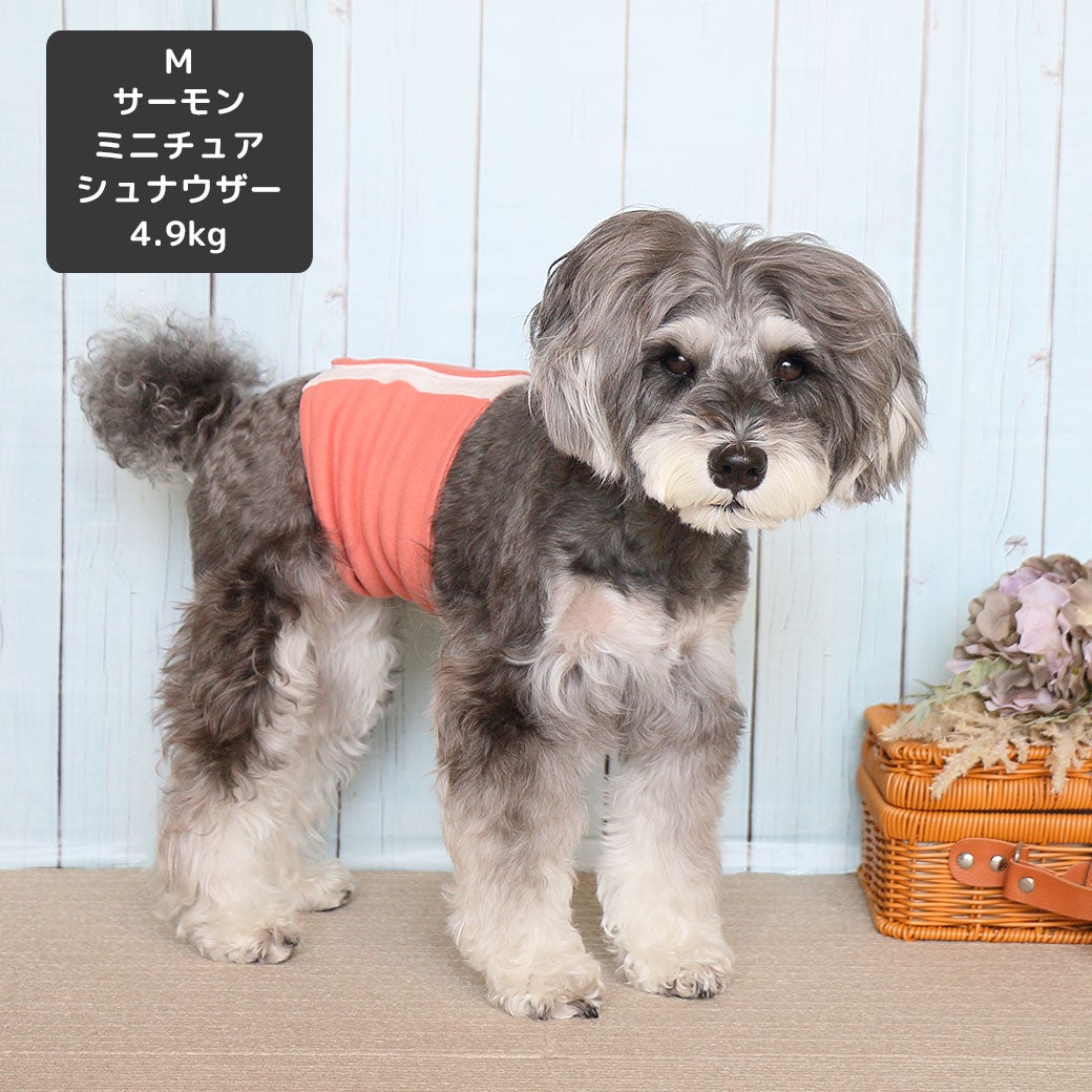 ミニチュアシュナウザー4.9kg(首23/胴40/丈30cm)のあろあちゃんはサーモンのMを着用