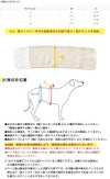 サイズ表