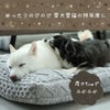 厚さ7cmのふかふか感で愛犬の特等席に