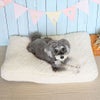 ミニチュアシュナウザー4.9kg(首23/胴40/丈30cm)のあろあちゃんはオフホワイトを使用