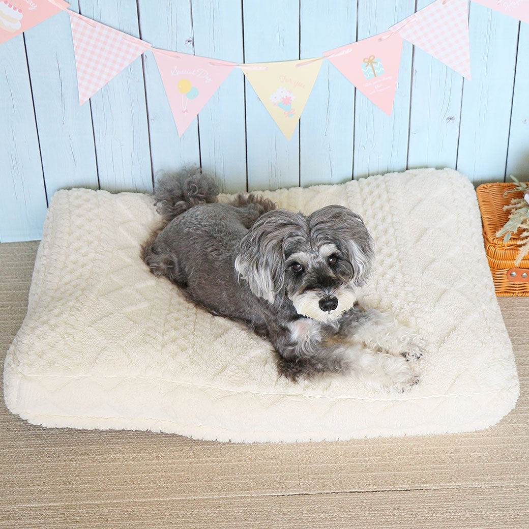 ミニチュアシュナウザー4.9kg(首23/胴40/丈30cm)のあろあちゃんはオフホワイトを使用