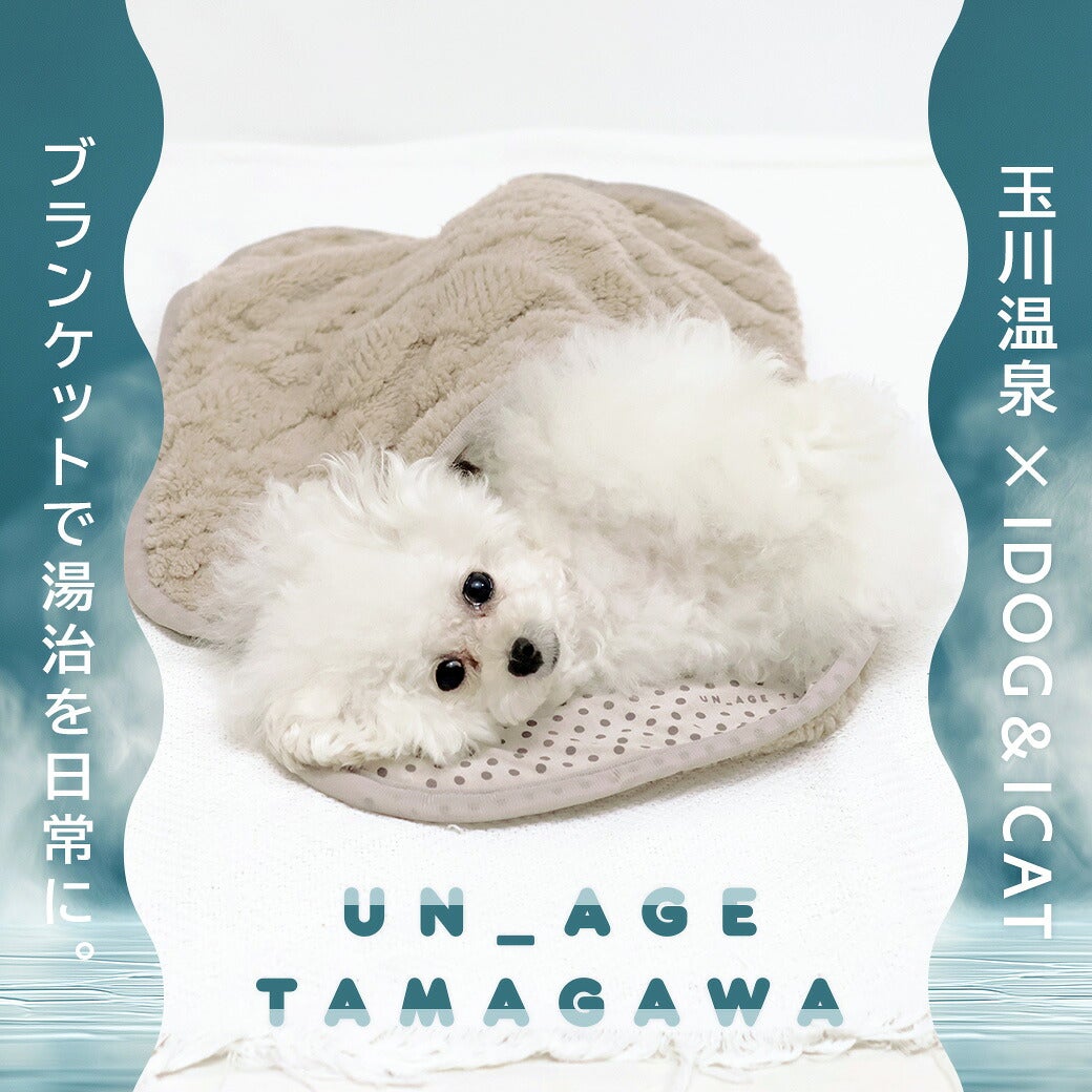 IDOG&ICATUNAGE_TAMAGAWAふんわりブランケットアイドッグ