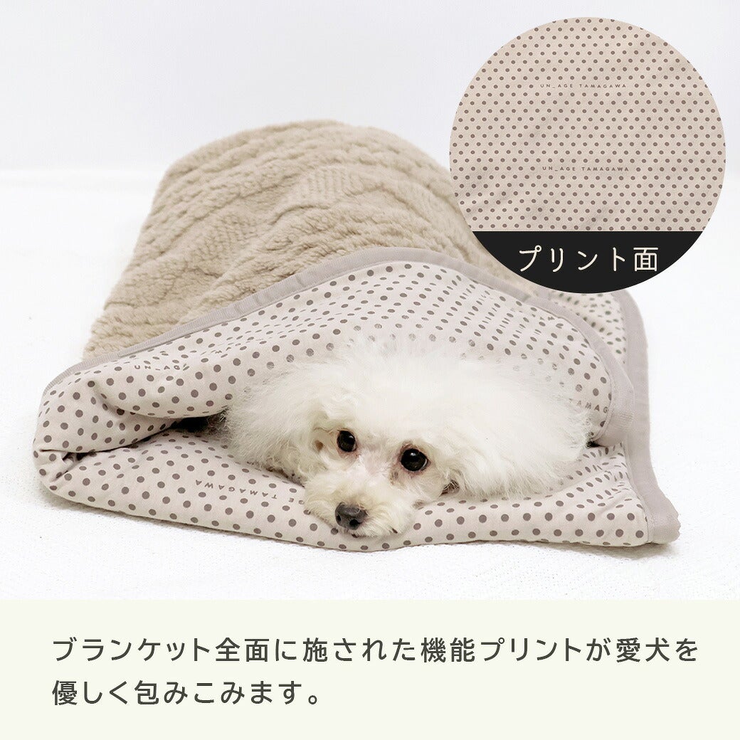 考え抜かれた配置で機能プリントを施しました
