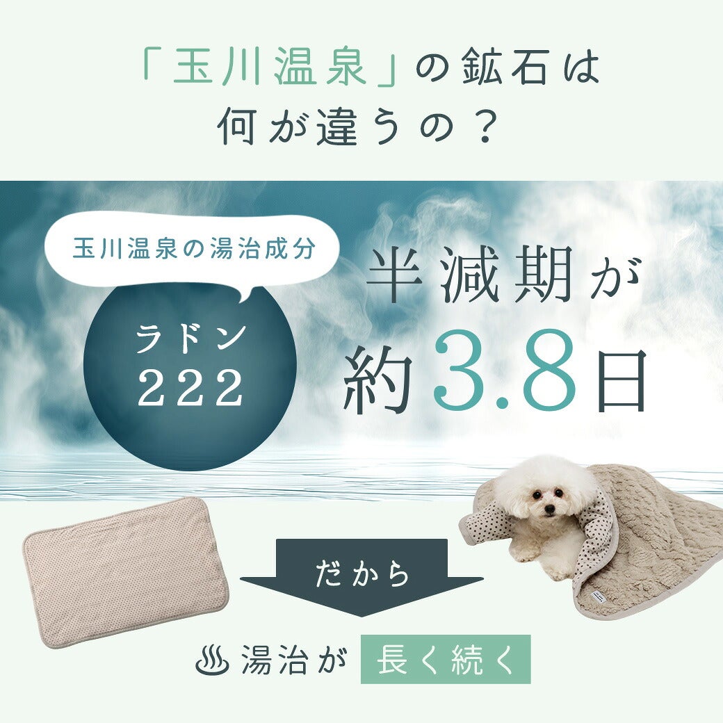 半減期が約3.8日と長く身体にとどまるという特性を持ちます