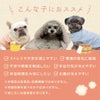 こんな子におすすめ