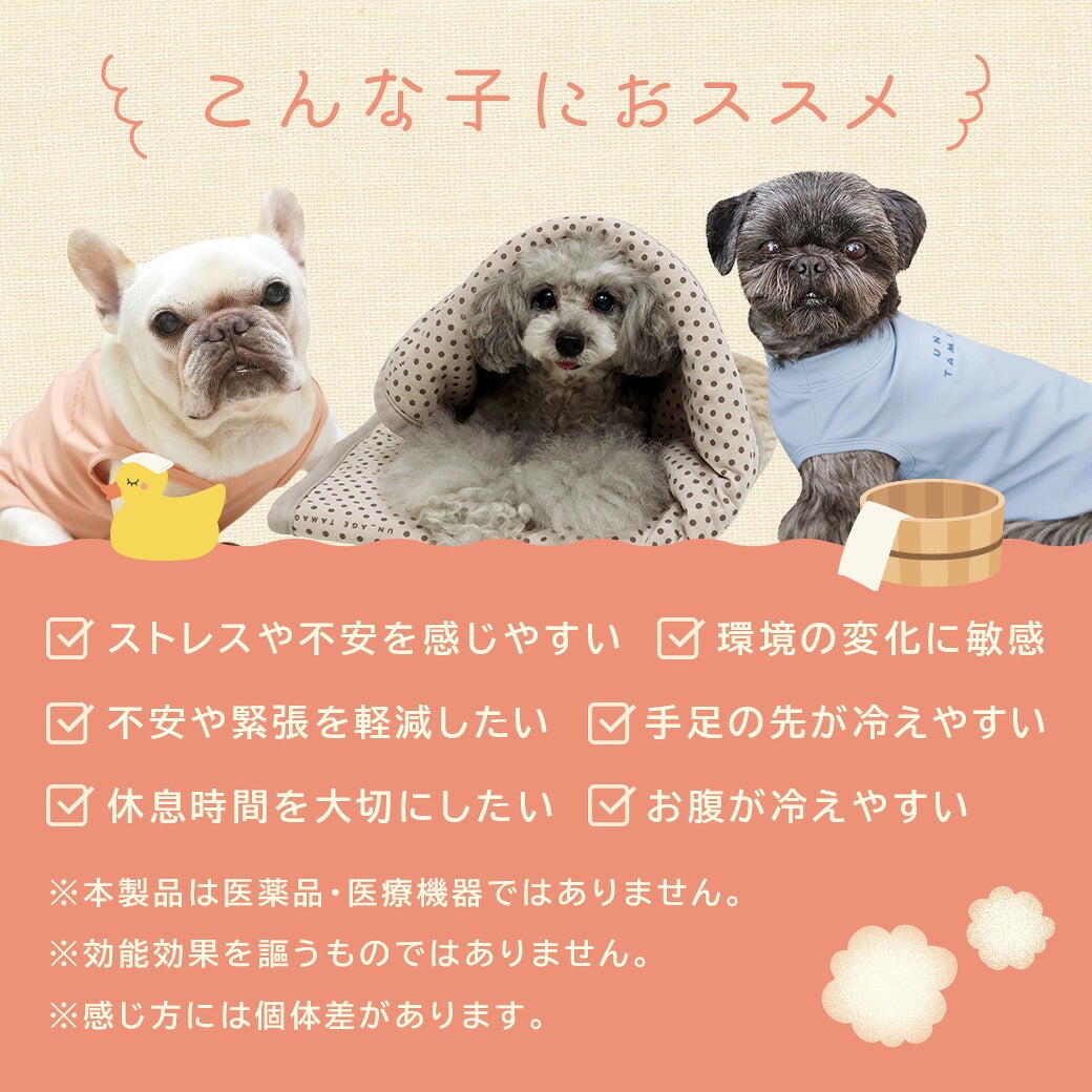 こんな子におすすめ