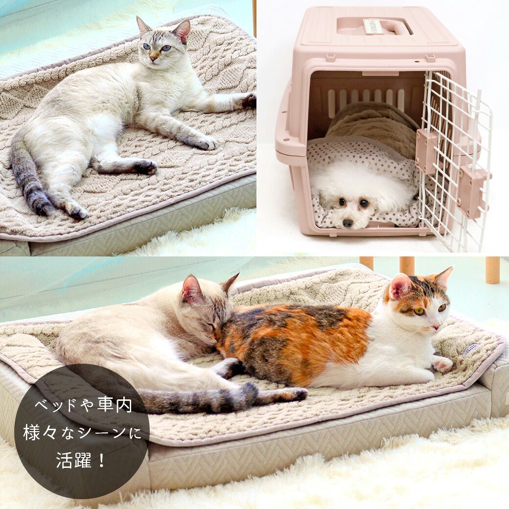 外出先での使用にも便利です。