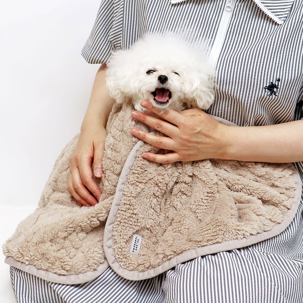 トイプー1.4kg(首18/胴29/丈18cm)のマユリちゃんが使用