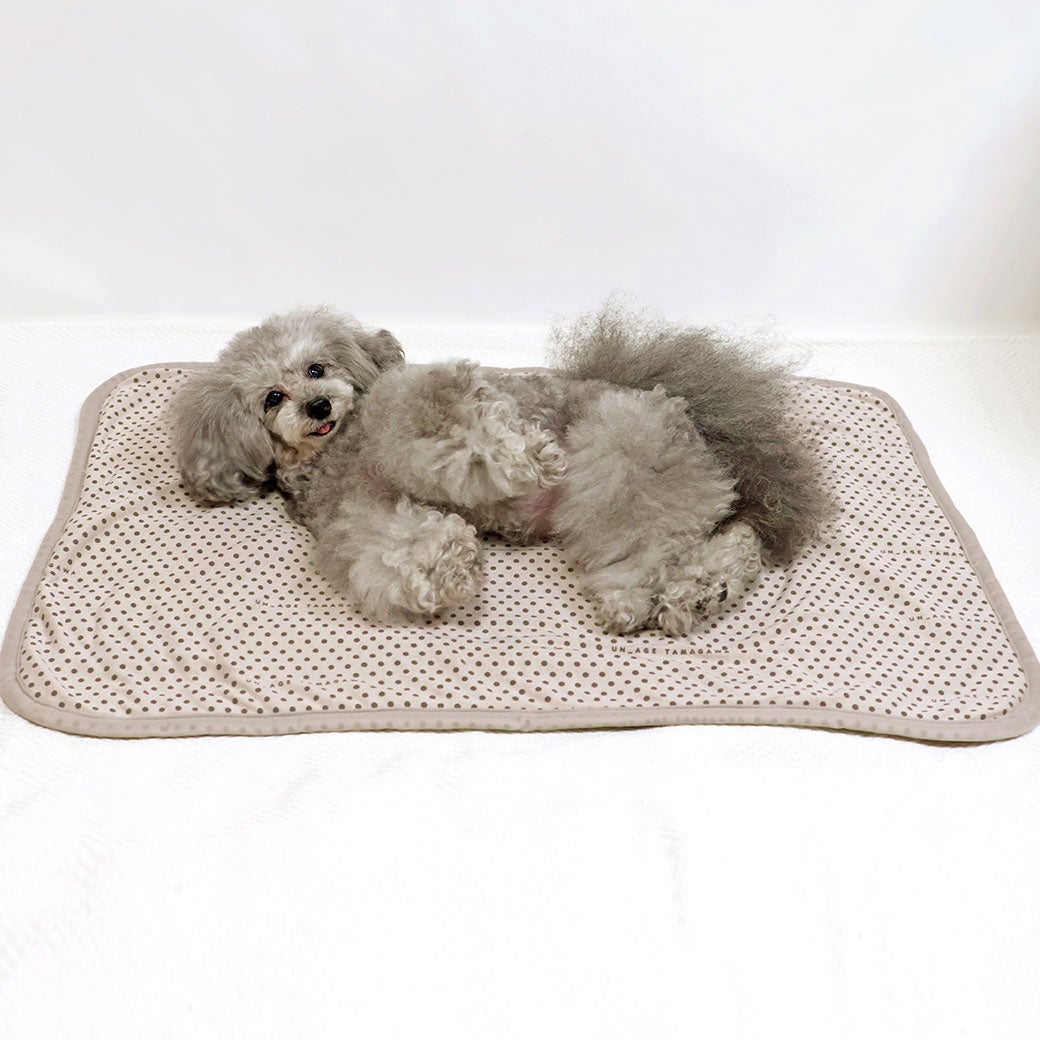 トイプー3.5kg(首19/胴32/丈24cm)のメルシーちゃんが使用