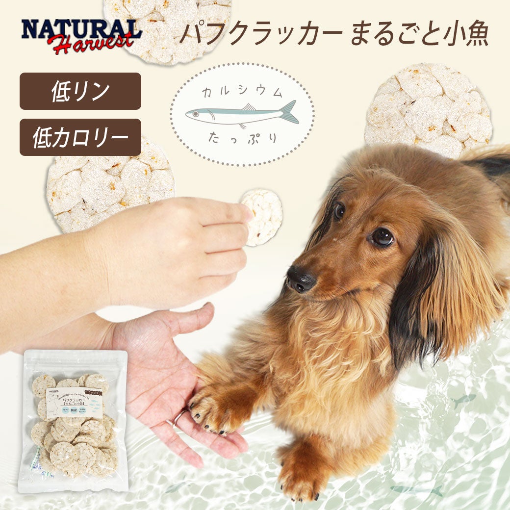 NATURALHarvestナチュラルハーベスト/パフクラッカー50gまるごと小魚低リンアイドッグ