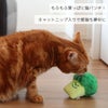 【猫おもちゃ】iCatブロッコリーキャットニップとカシャカシャ入りアイキャット【猫用おもちゃペットグッズキティねこネコ子猫用品ねずみネズミボールまたたびキャットニップicatidog楽天】