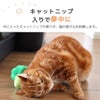 キャットニップ入りで夢中に