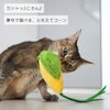 iCatトウモロコシキャットニップとカシャカシャ入りアイキャット