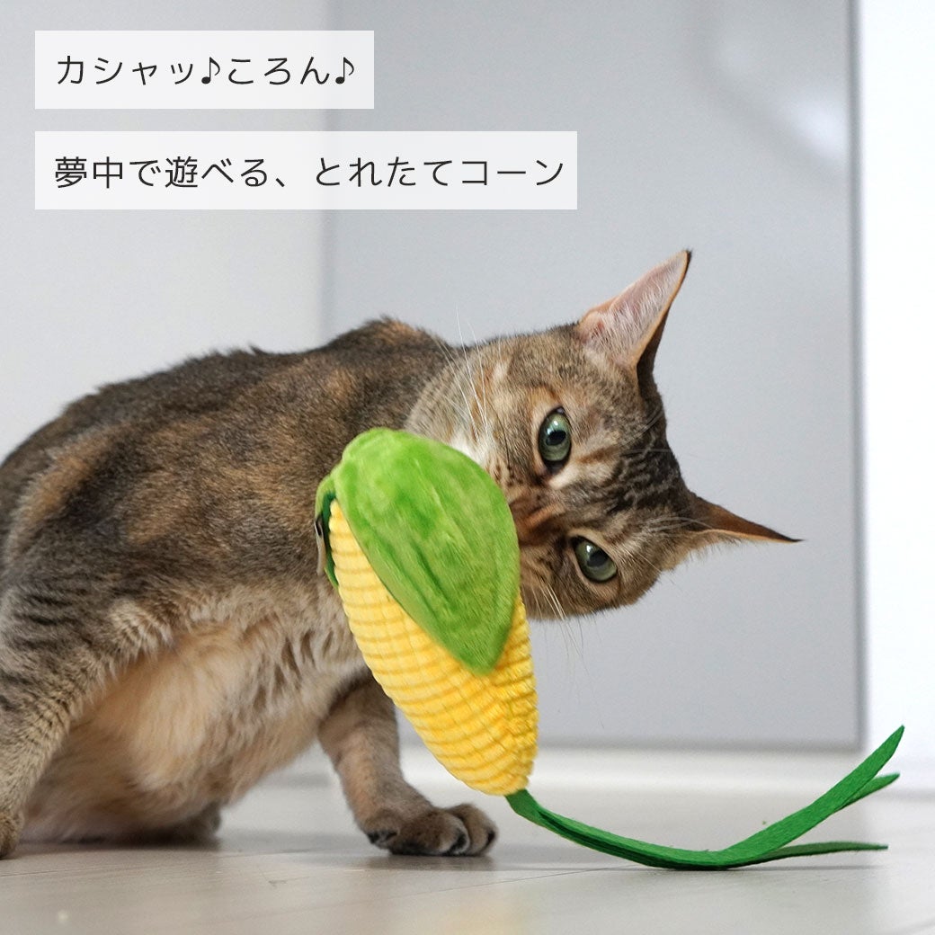 iCatトウモロコシキャットニップとカシャカシャ入りアイキャット