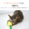 中に入ったキャットニップの香りが、猫の遊び心を刺激