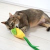 MIX5.1kgのニコちゃんは夢中