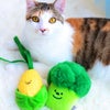 MIX3.6kg夕花ちゃんと一緒に撮影