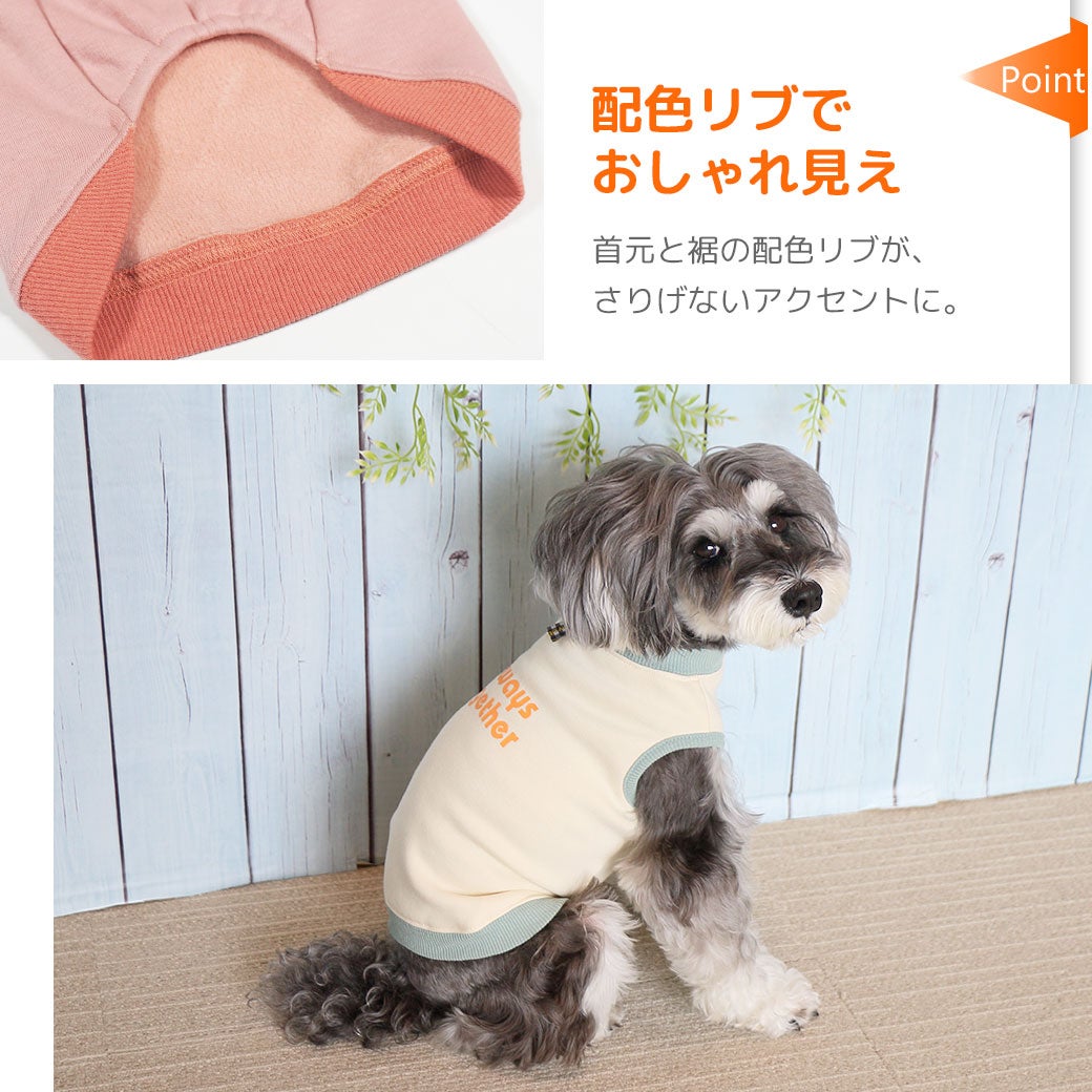 配色リブでおしゃれ見え