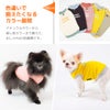 色違いで揃えたくなるカラー展開