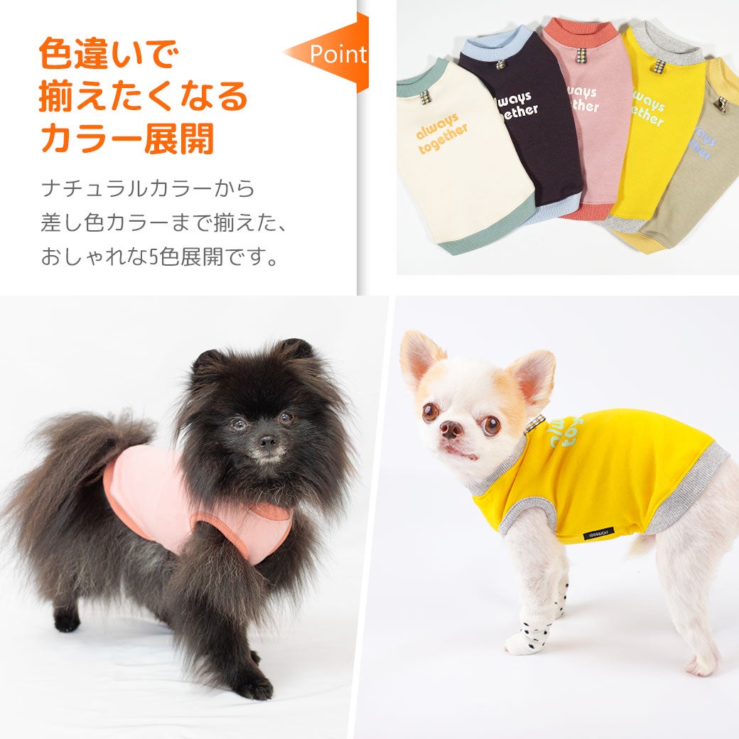 色違いで揃えたくなるカラー展開