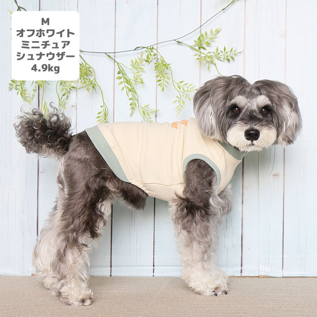 ミニチュアシュナウザー4.9kg(首23/胴40/丈30cm)のあろあちゃんはホワイトのMを着用