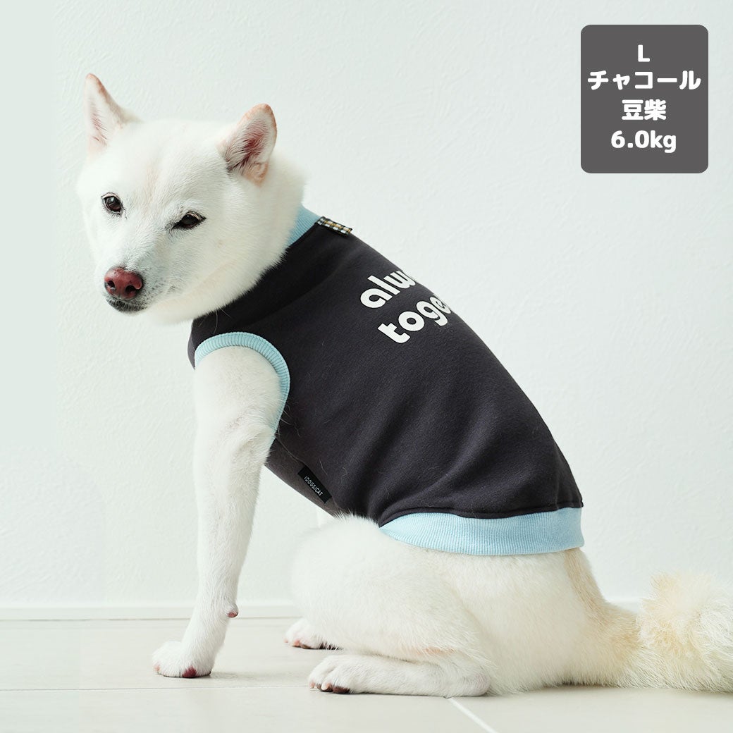 豆柴6.0kg(首30/胴45/丈35cm)のラテちゃんはチャコールのLを着用