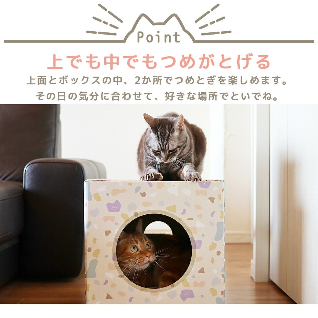 上でも中でもつめがとげる