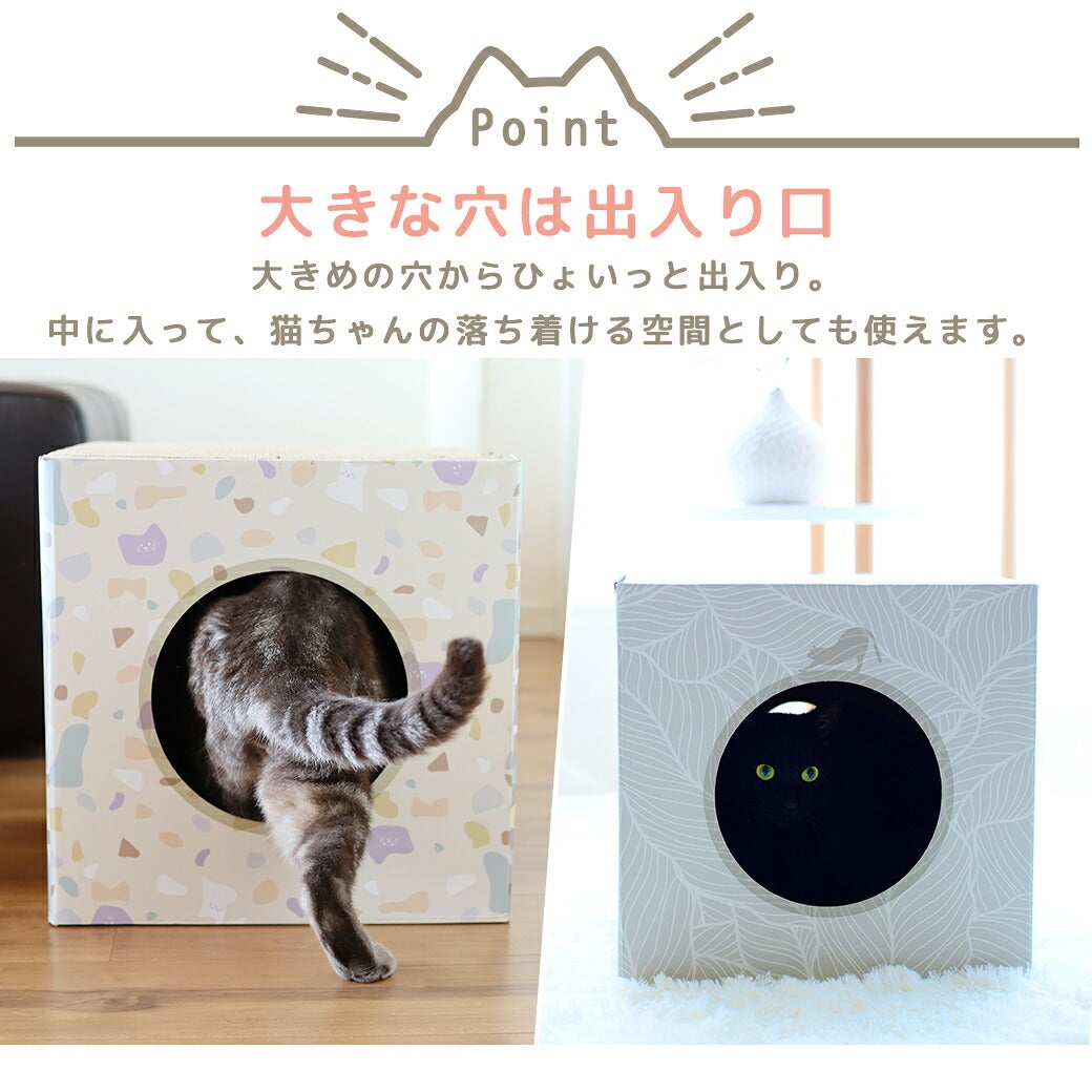 大きな穴は出入り口