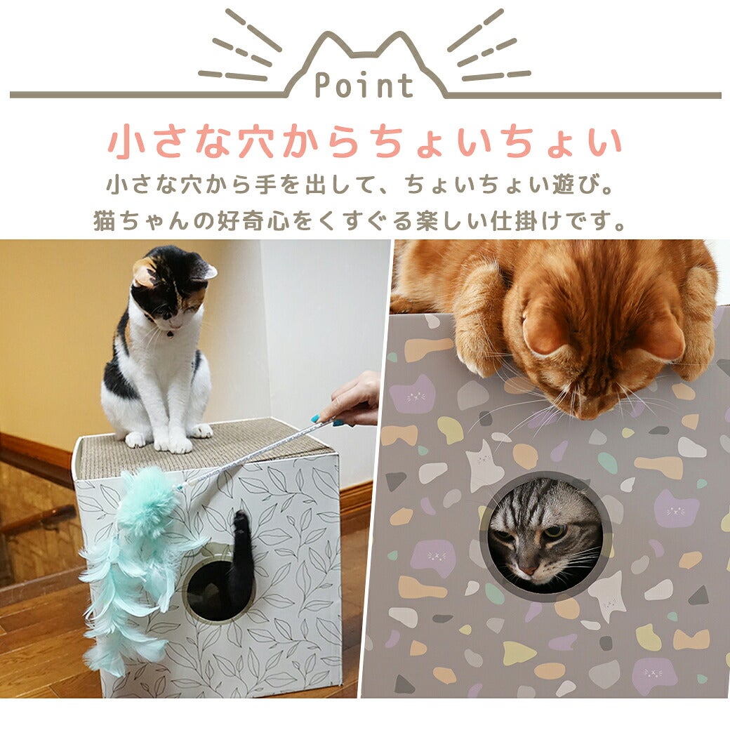 小さな穴からちょいちょい