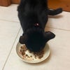 いつものごはんにトッピング♪