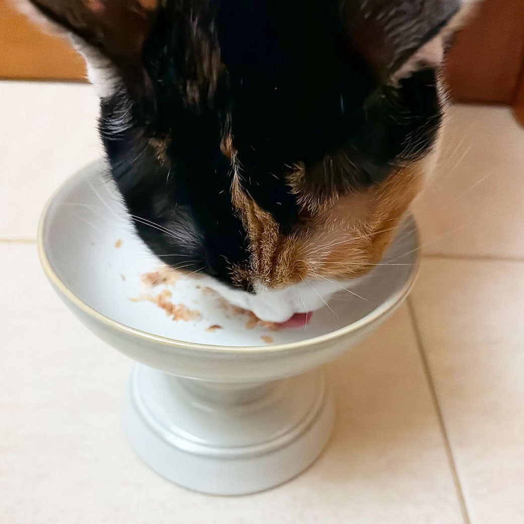 試食中
